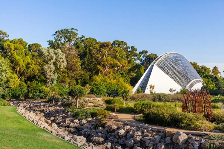 Adelaide Botanic Garden