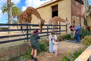 Adelaide Zoo