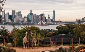 Taronga Zoo In Sydney