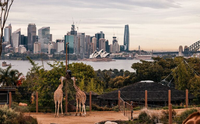 Taronga Zoo In Sydney